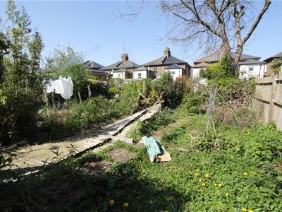 Picture 20
